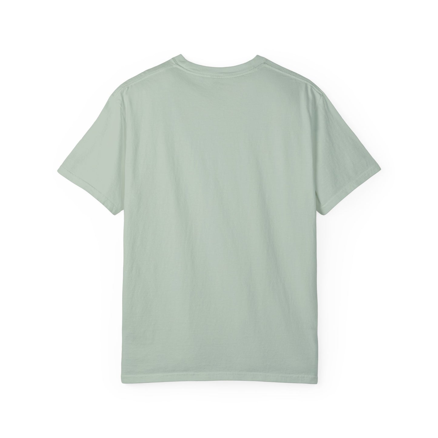 YOU MISS 100% Unisex Garment-Dyed T-shirt